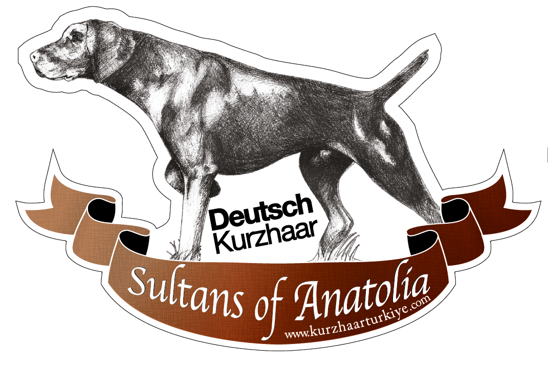 Sultans_of_Anatolia